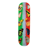 Quasi - 8.25" Butterfly