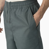 Dickies - Skateboarding Grants Pass Shorts - Lincoln Green